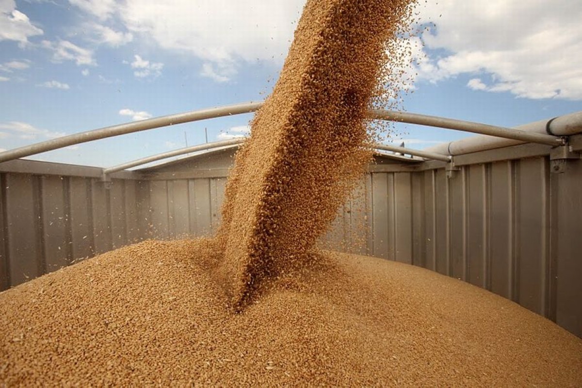 Казахстан приостанавливает экспорт зерна