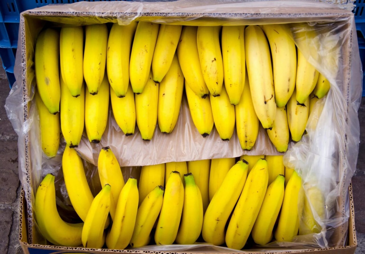 В январе-июле 2022 года Узбекистан вдвое увеличил импорт бананов
