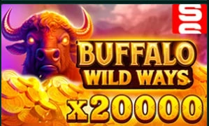 Buffalo Wild Ways