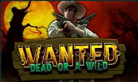Wanted Dead or a Wild